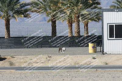 media/Dec-04-2025-Racers Edge (Thu) [[5ebc9f124d]]/3-B Group/5-Session 2 Turn 2 inside Speed Pans/